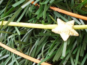 v�no�n� strome�ek na v�noce